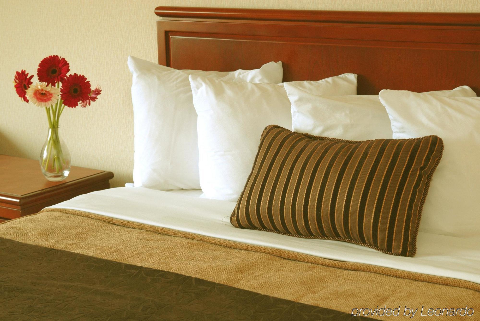 Doubletree By Hilton St. John'S Harbourview Hotel Szoba fotó